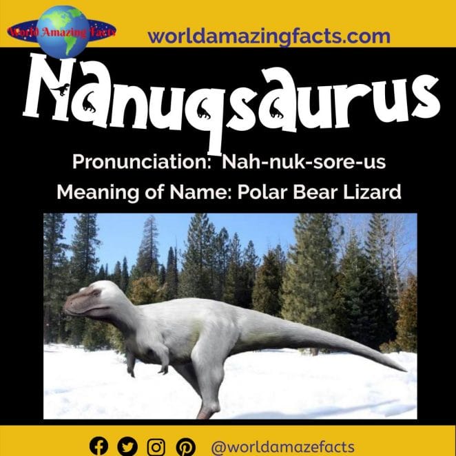 Nanuqsaurus dinosaur