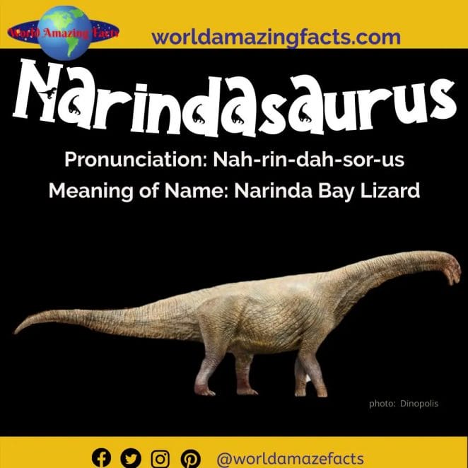 Narindasaurus dinosaur