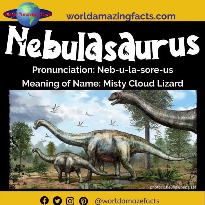 Nebulasaurus dinosaur