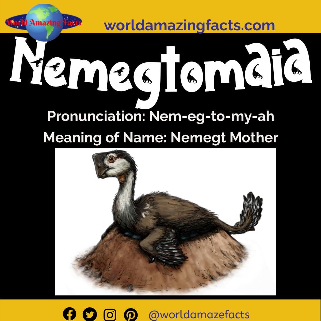 Dinosaur Names that Start with "N" - Dinosaur Pictures & Facts
