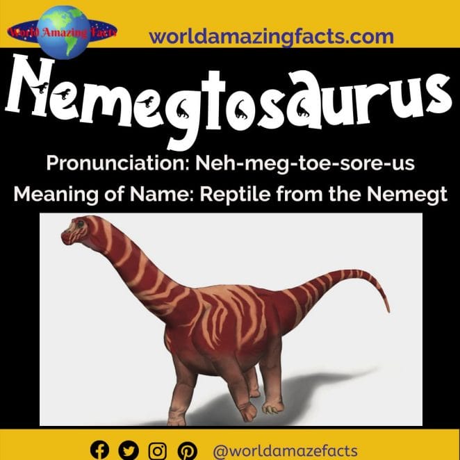 Nemegtosaurus dinosaur