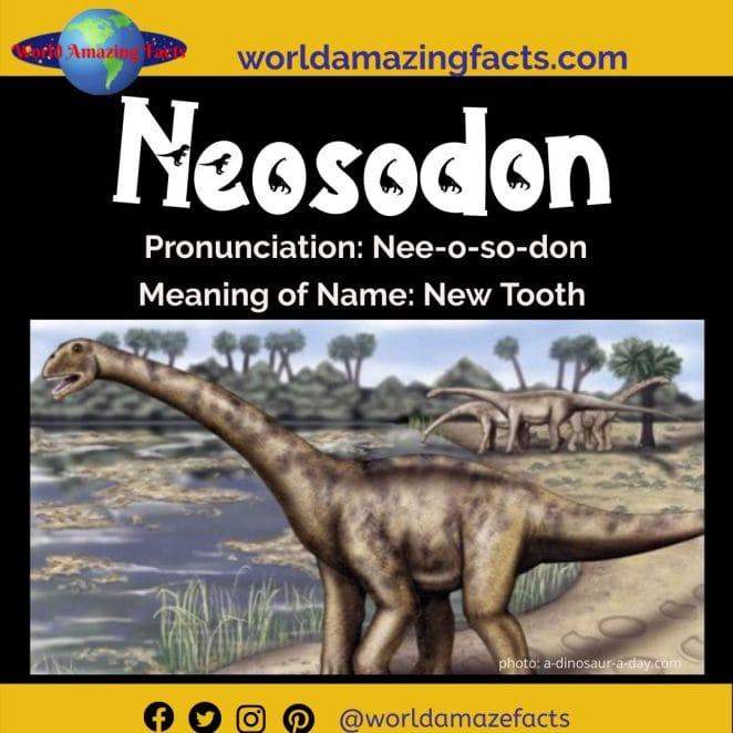 Neosodon dinosaur