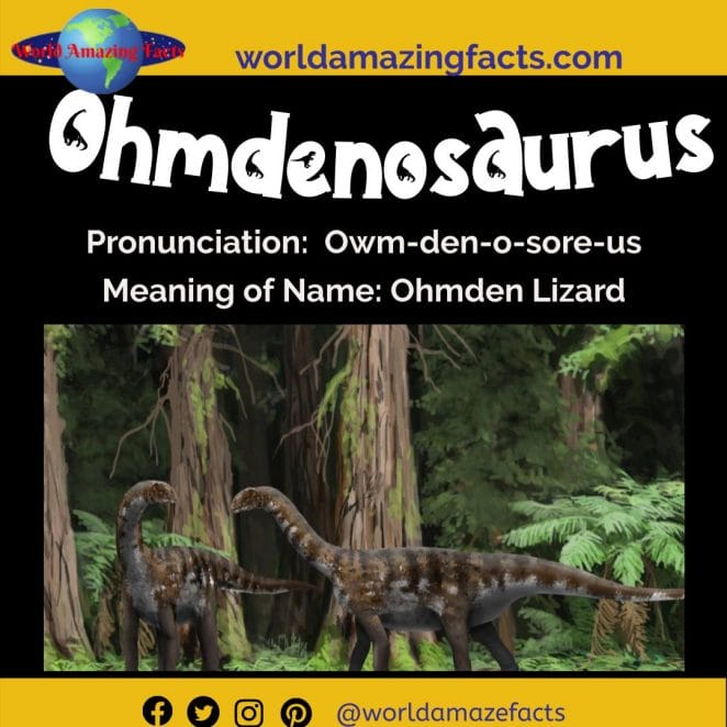 Ohmdenosaurus dinosaur