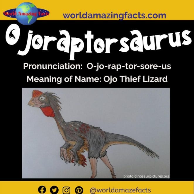 Ojoraptorsaurus dinosaur