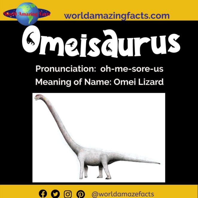 Omeisaurus dinosaur