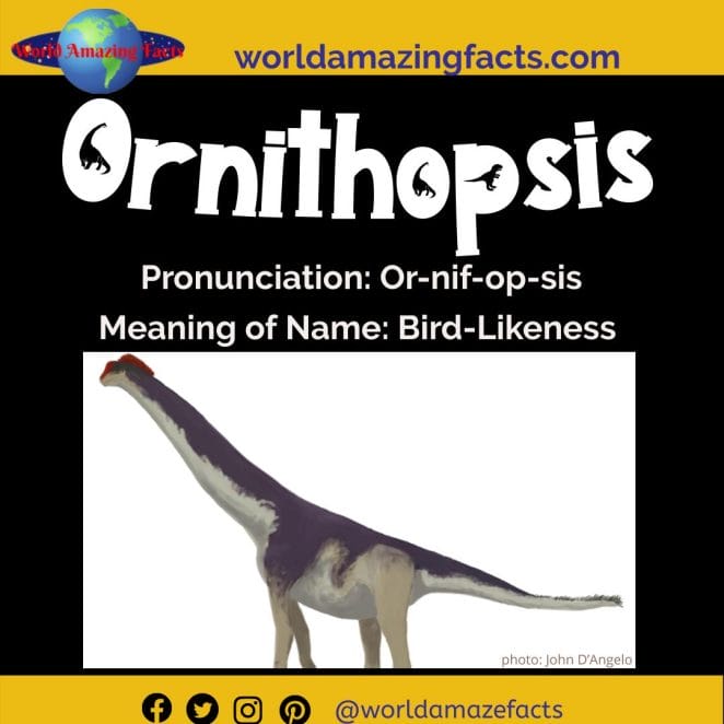 Ornithopsis dinosaur