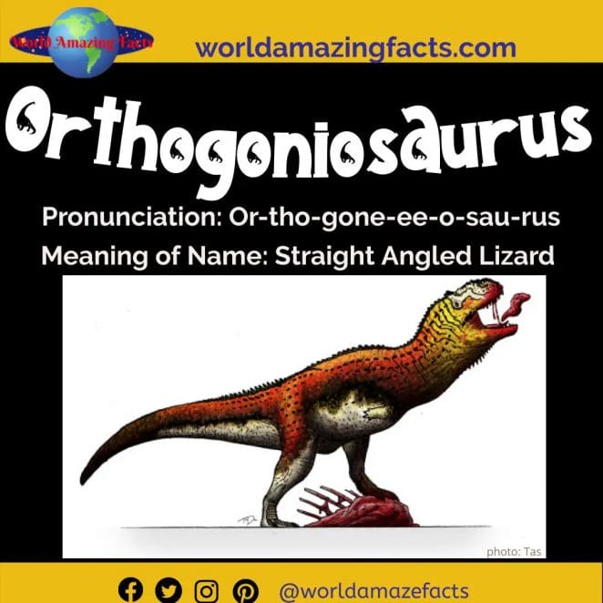 Orthogoniosaurus dinosaur