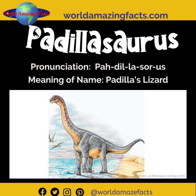 Padillasaurus dinosaur