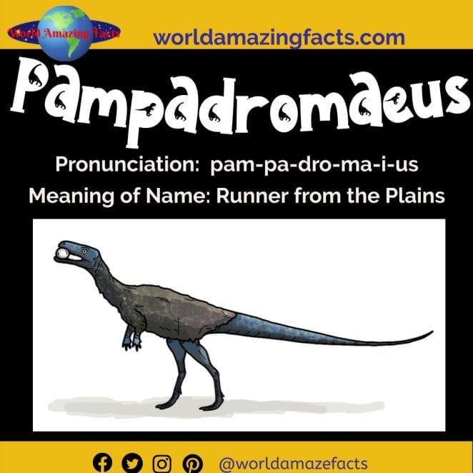 Pampadromaeus dinosaur