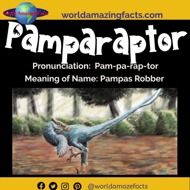 Pamparaptor dinosaur