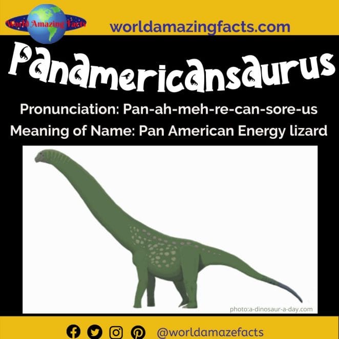 Panamericansaurus dinosaur