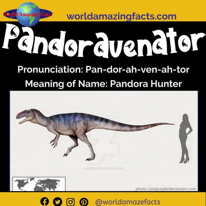 Pandoravenator dinosaur