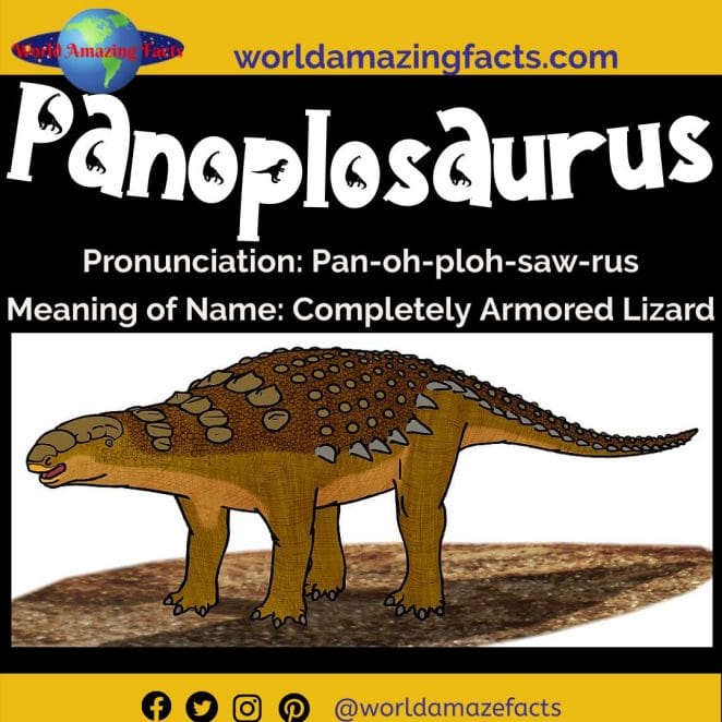 Panoplosaurus dinosaur