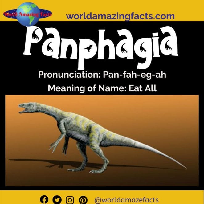 Panphagia dinosaur