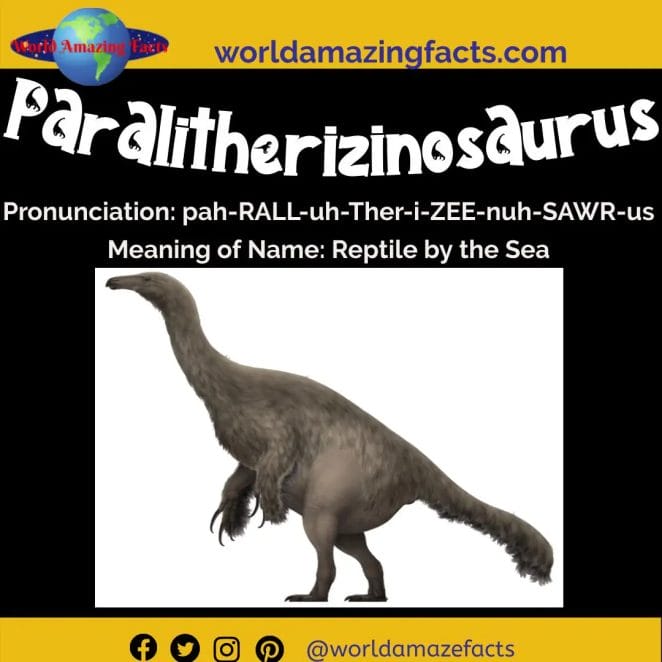Paralitherizinosaurus dinosaur