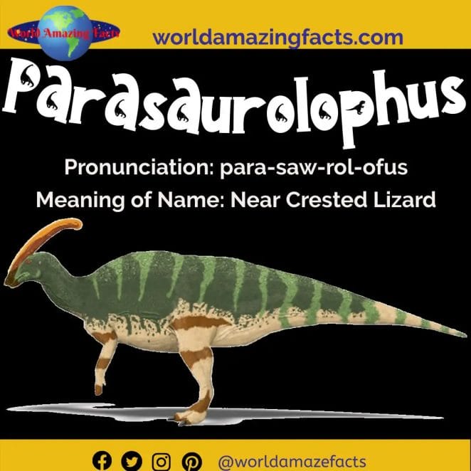Parasaurolophus dinosaur