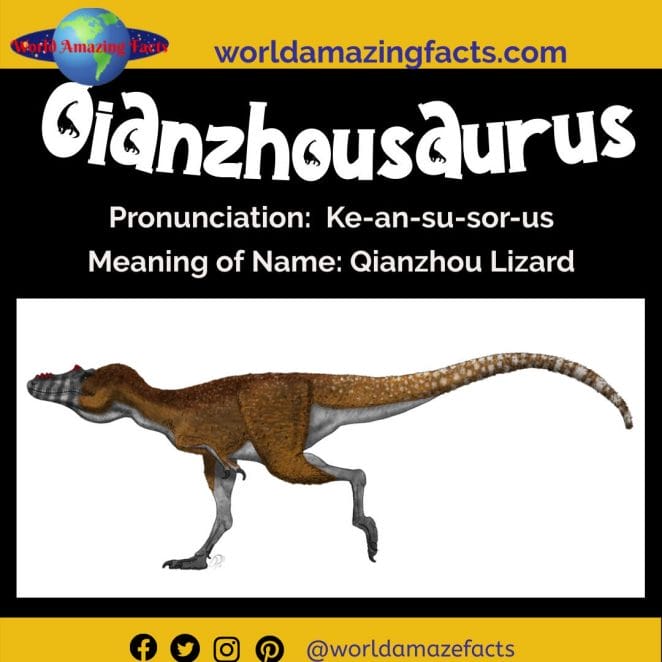 Qianzhousaurus dinosaur