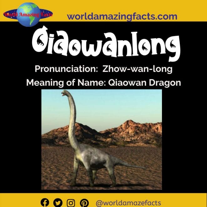 Qiaowanlong dinosaur