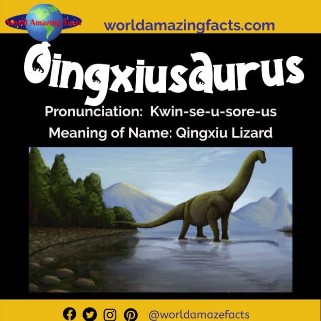 Qingxiusaurus dinosaur