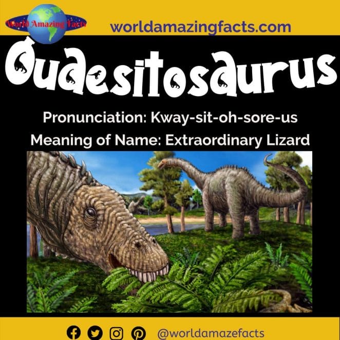 Quaesitosaurus dinosaur
