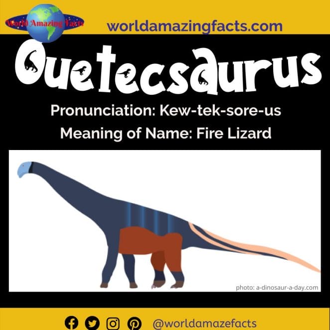 Quetecsaurus dinosaur