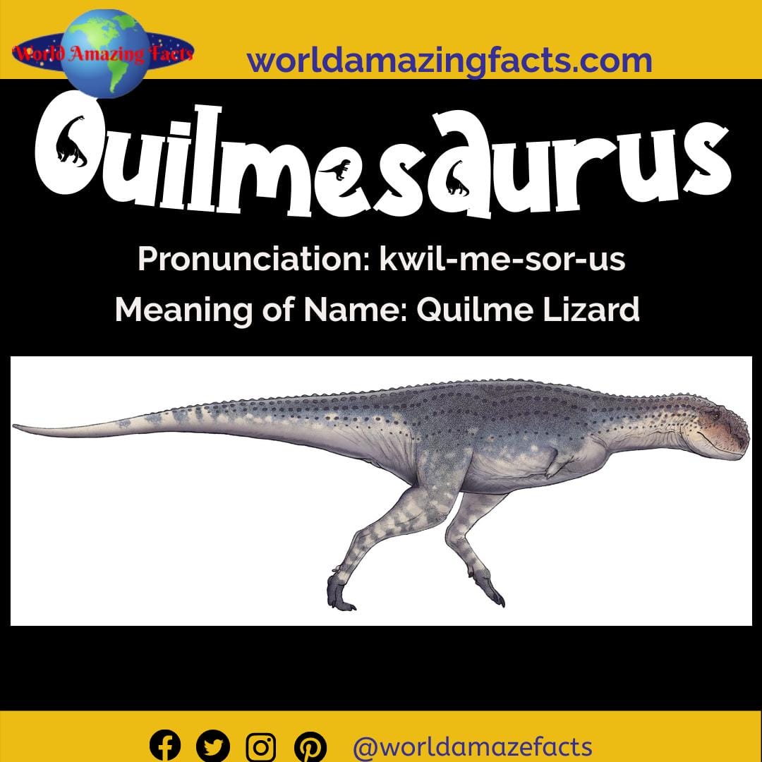 Dinosaur Names that Start with "Q" - Dinosaur Pictures & Facts