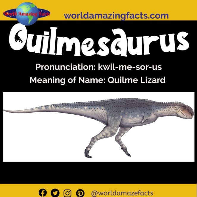 Quilmesaurus dinosaur
