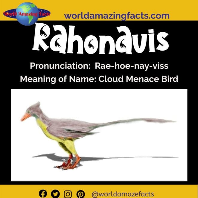 Rahonavis dinosaur