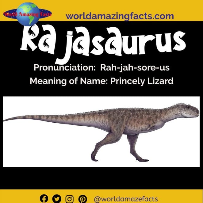 Rajasaurus dinosaur