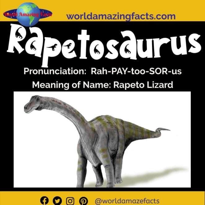 Rapetosaurus dinosaur