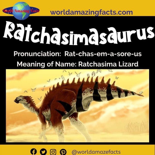 Ratchasimasaurus dinosaur