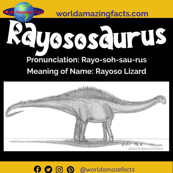 Rayososaurus dinosaur