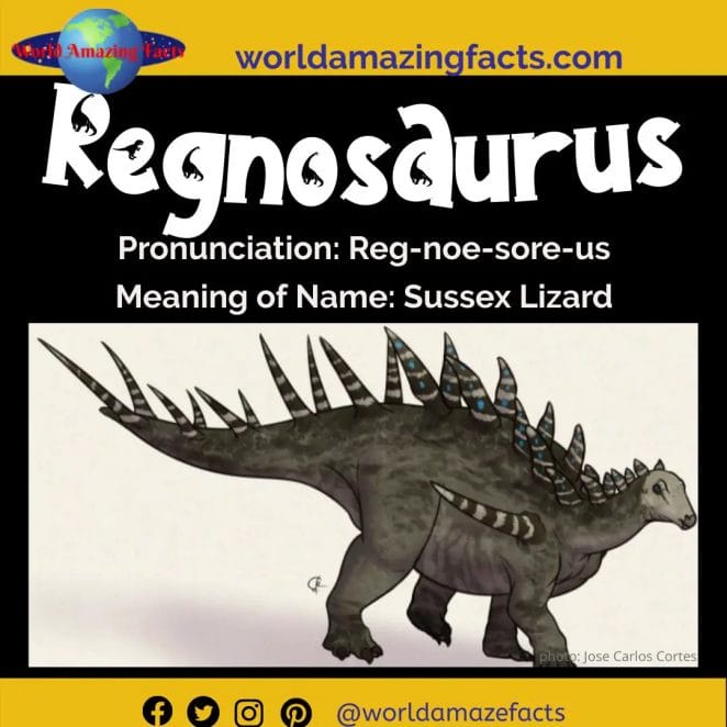 Regnosaurus dinosaur