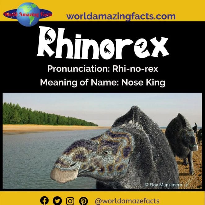Rhinorex dinosaur