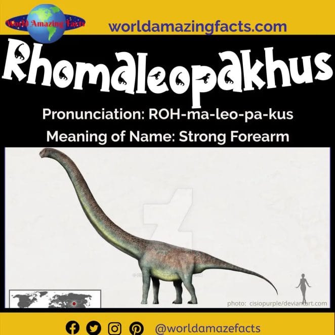 Rhomaleopakhus dinosaur