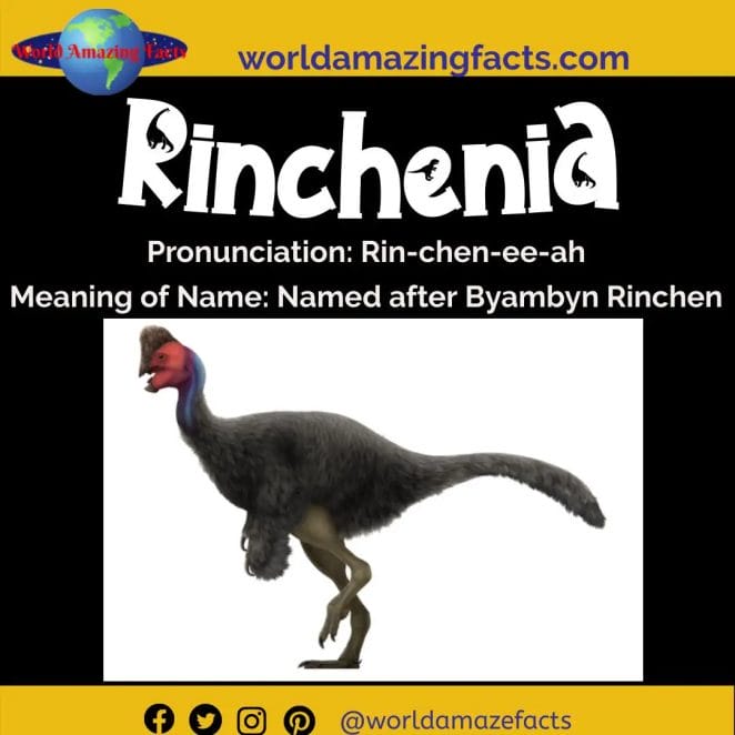 Rinchenia dinosaur