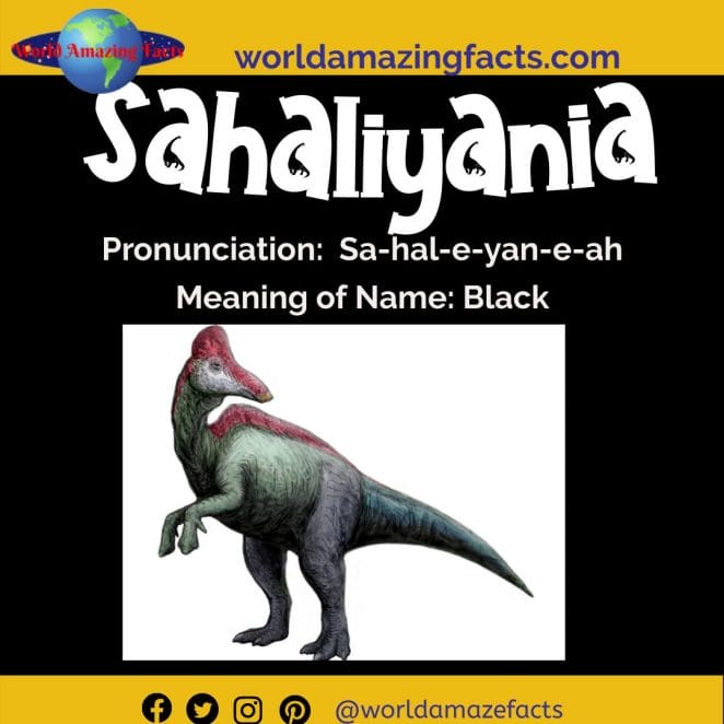 Sahaliyania dinosaur