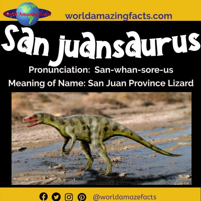 Sanjuansaurus dinosaur