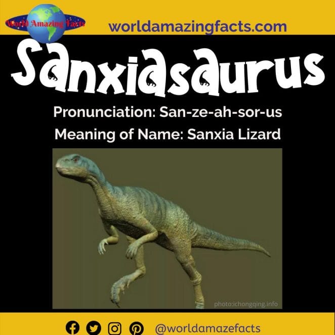 Sanxiasaurus dinosaur