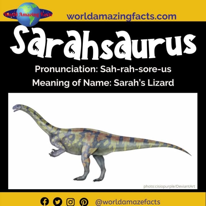 Sarahsaurus dinosaur