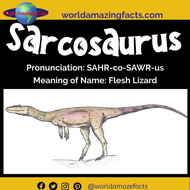 Sarcosaurus dinosaur