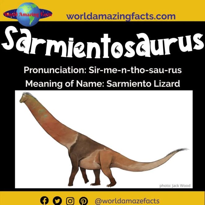 Sarmientosaurus dinosaur