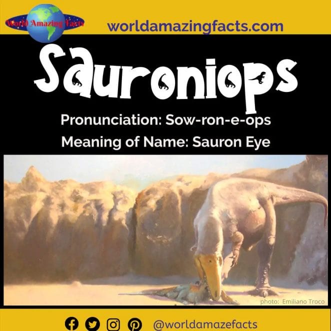 Sauroniops dinosaur