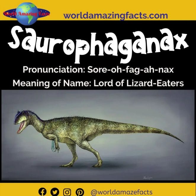 Saurophaganax dinosaur 