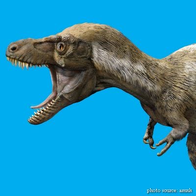 Juvenile T. rex
