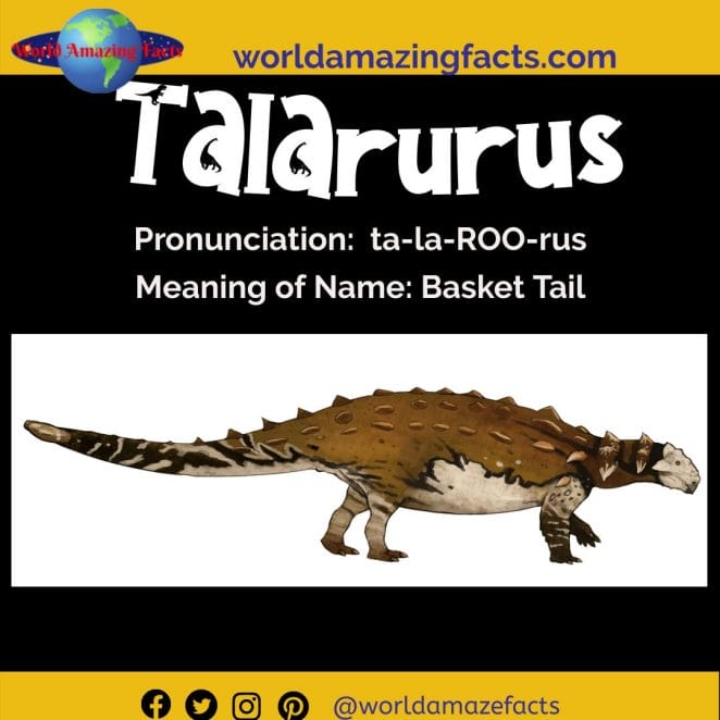 Talarurus dinosaur