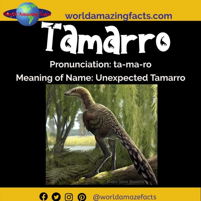 Tamarro dinosaur