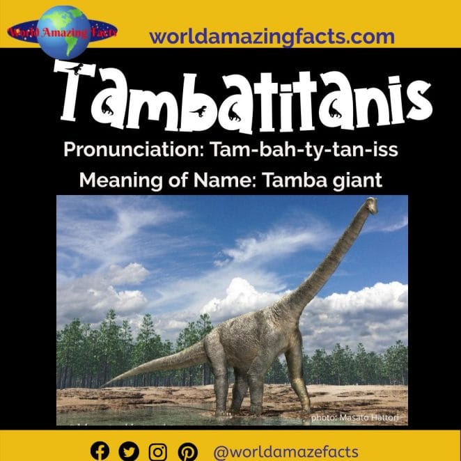 Tambatitanis dinosaur