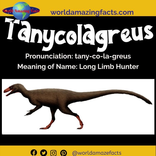 Tanycolagreus dinosaur