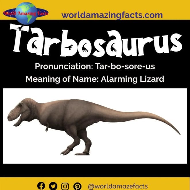 Tarbosaurus dinosaur